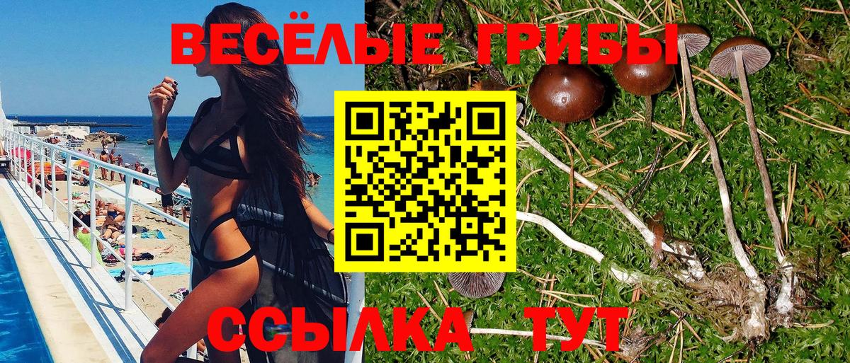 Галлюциногенные грибы MAGIC MUSHROOMS Сегежа