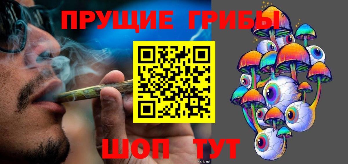 Псилоцибиновые грибы MAGIC MUSHROOMS  продажа наркотиков  Сегежа  Вход с VPN 